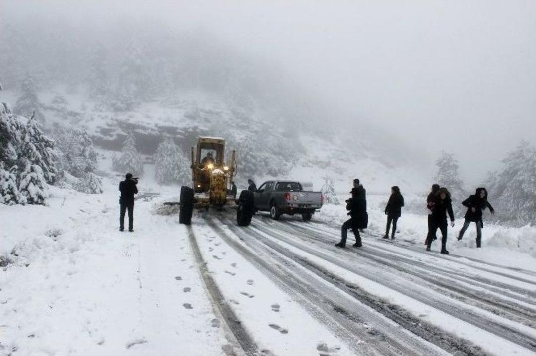 Yılanlı Beyaza B&uuml;r&uuml;nd&uuml;