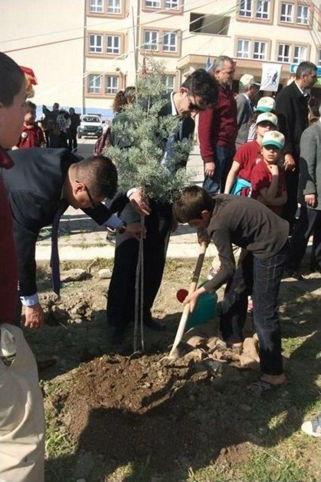 Adana Orman Bölge Müdürlüğü 3.5 Milyon Fidanı Toprakla Buluşturdu