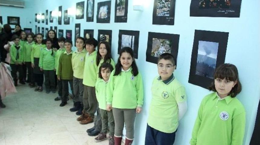 İlkokul &Ouml;ğrencileri &Ccedil;evre Kirliliğini Fotoğraflayıp Sergi A&ccedil;tı