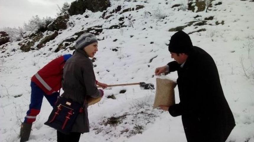 Karda Doğaya Yem Bıraktılar