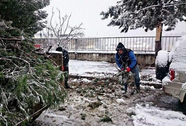 Gördes’te Karla Mücadele Çalışmaları