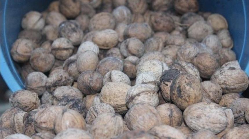 &Uuml;retici Fiyatlardan Dertli