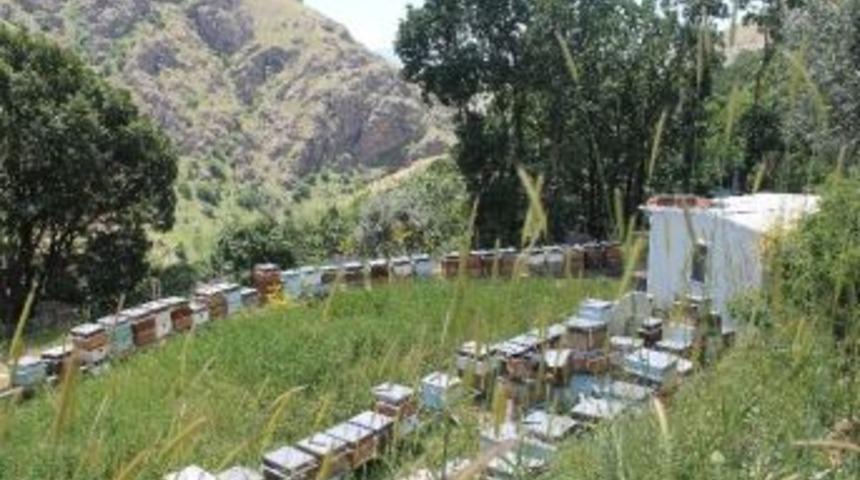 Arıcılara 350 Bin Tl Arılı Kovan Desteği