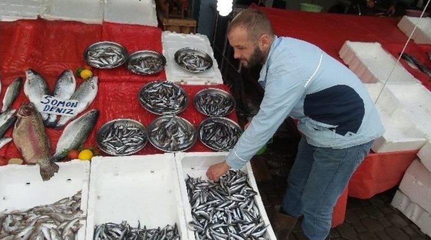 Balık Satıcıları Sezondan Memnun Değil