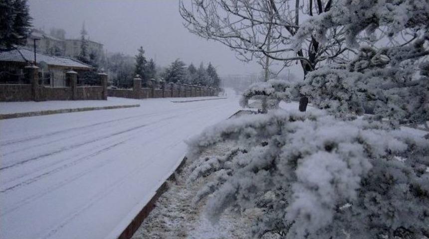 Aksaray Beyaza B&uuml;r&uuml;nd&uuml;