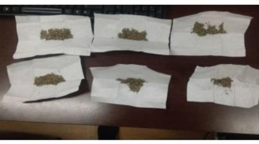 Amasya Polisinden Bonzai Baskını