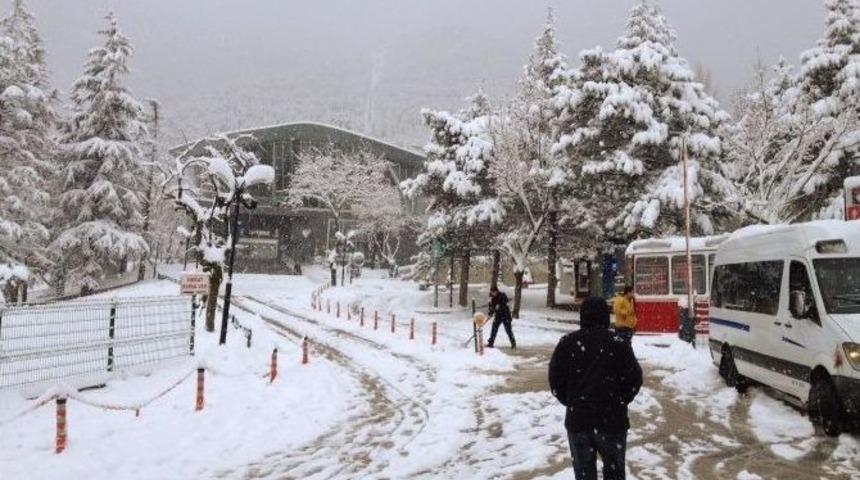 Bursa Kar Yağışı Etkili Oluyor, Vatandaşlar Duraklarda Uzun Kuyruklar Oluşturdu