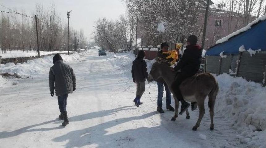 Vartolu &Ccedil;ocukların Eşek Alışverişi