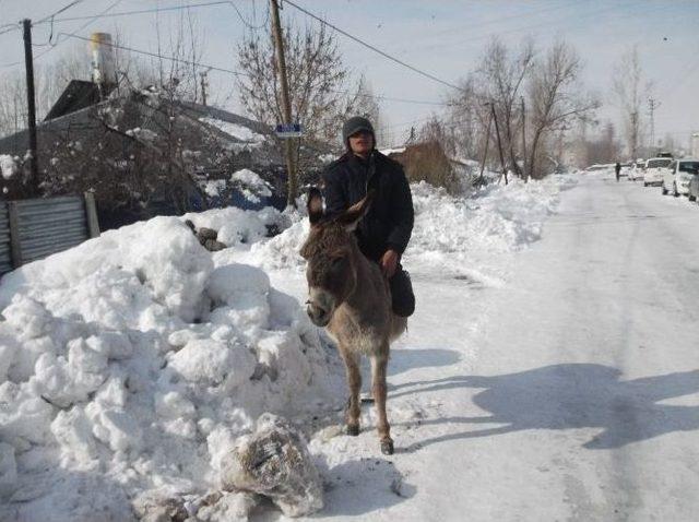 Vartolu Çocukların Eşek Alışverişi