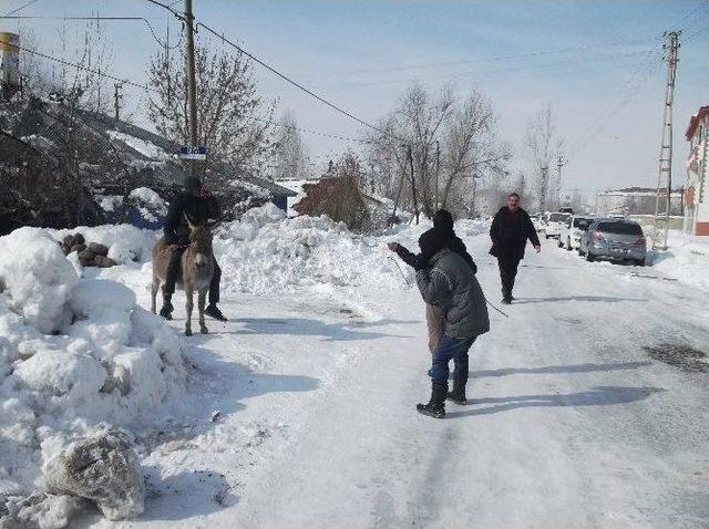 Vartolu Çocukların Eşek Alışverişi