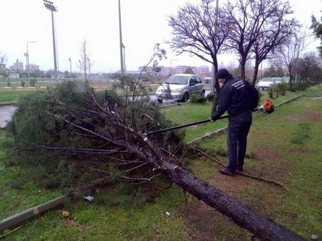 Yunusemre’de Kar Mesaisi Sürüyor