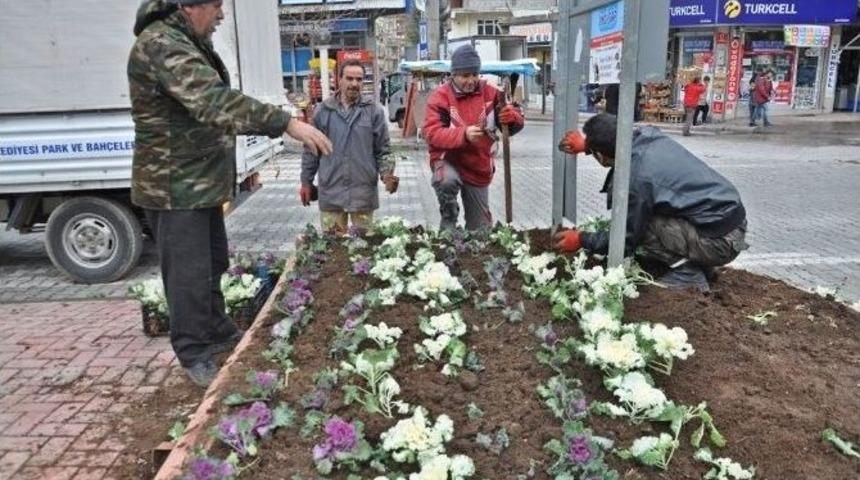 G&ouml;lbaşı İl&ccedil;e Merkezine Kışlık &Ccedil;i&ccedil;ek Dikiyor