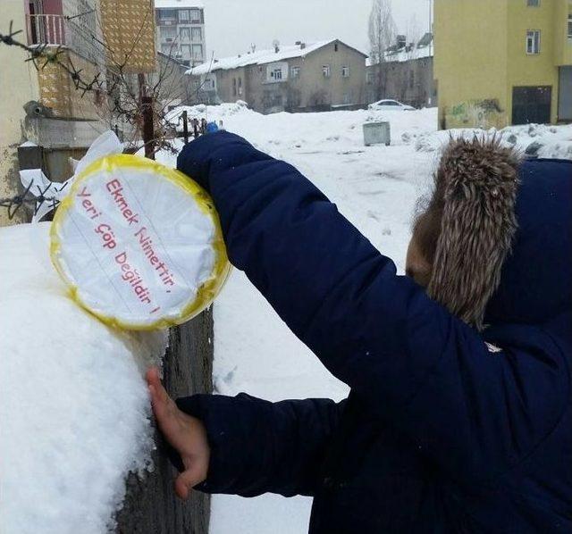 Minik Öğrenciler Kuşlar İçin Yuva Yaptı