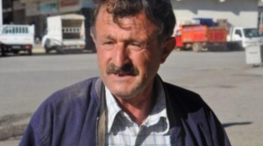 Kestiği Ağacın Altında Kalarak Can Verdi