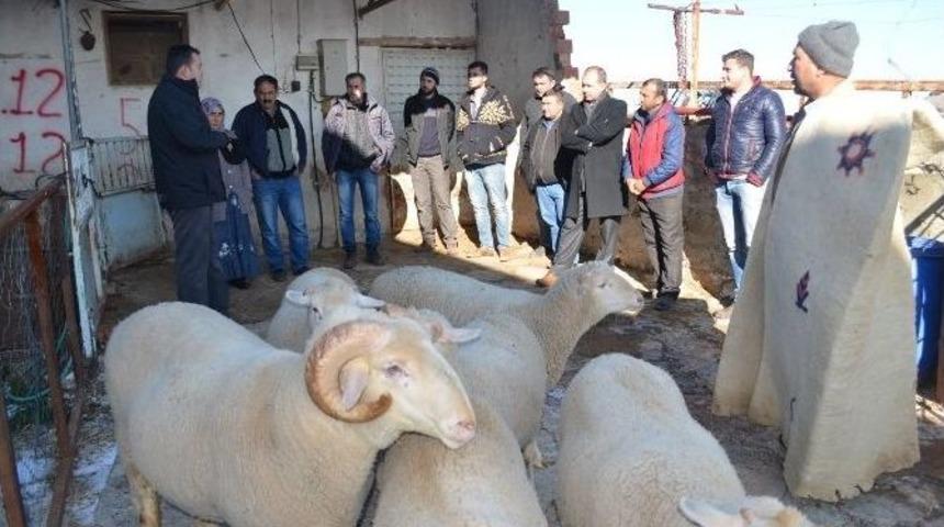 S&uuml;r&uuml; Y&ouml;netimi Kursunda Uygulama Eğitimi