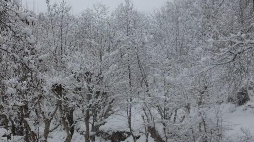 Sason’da Eğitime Bir Gün Ara Verildi