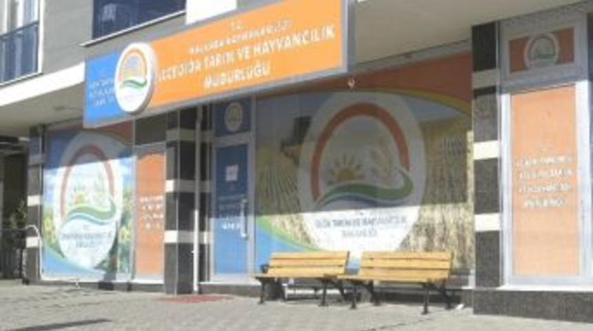 Malkara&rsquo;da 60 B&uuml;y&uuml;kbaş Hayvana El Konuldu