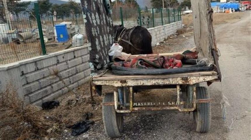 Kablo Hırsızı Kadınlara Suçüstü