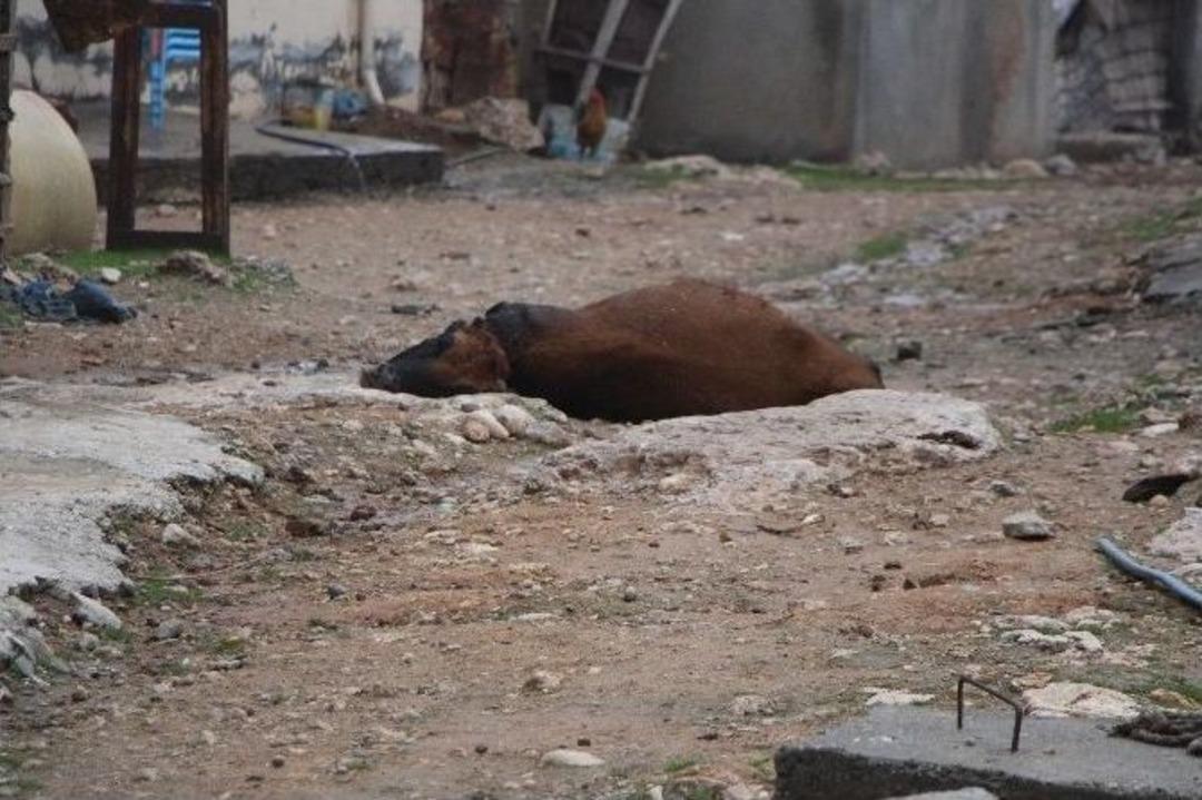 Ter&ouml;r Silopi&rsquo;yi K&uuml;le &Ccedil;evirdi