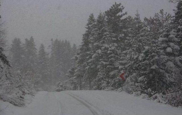 Kastamonu’da Kar Esareti