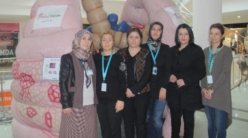 &lsquo;koca Ciğer&rsquo; Elazığ&rsquo;da Sergilendi