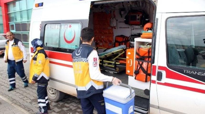 G&uuml;lbay Ailesinden "aslan" Gibi Bağış