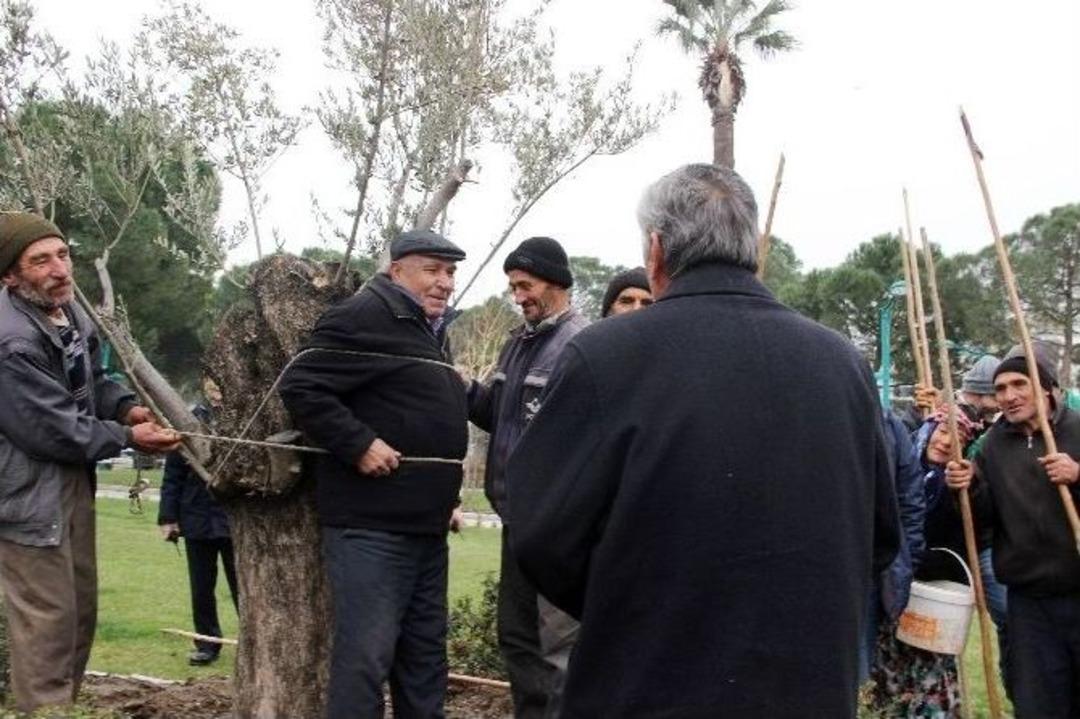 Ağaca Bağlayıp Bahşiş İstediler