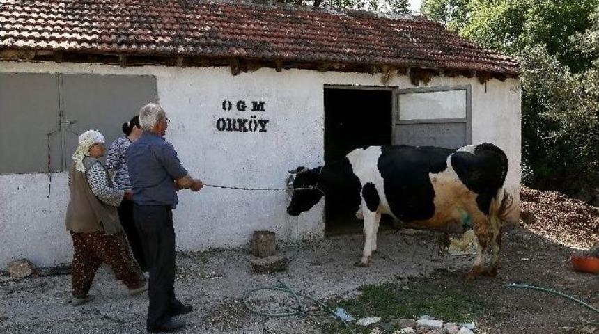 Or-k&ouml;yden 3 Milyon 750 Bin Tl Destek