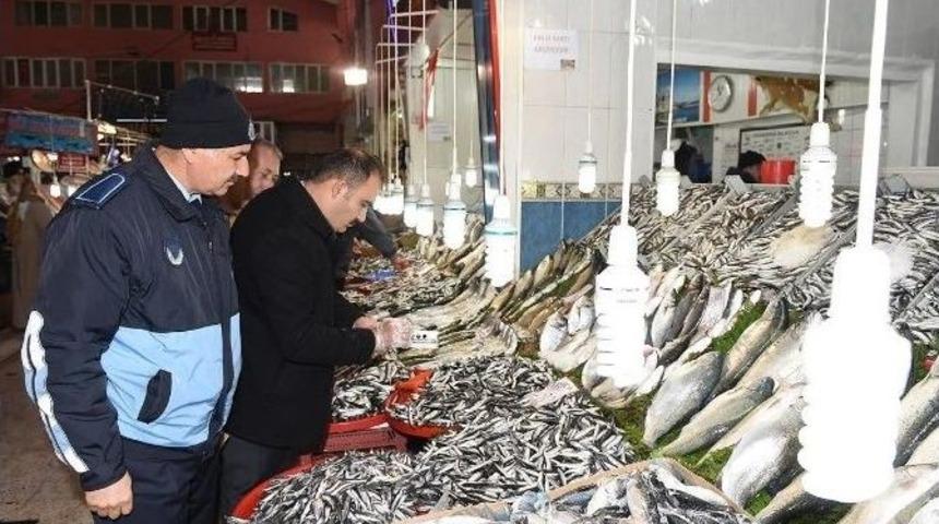 B&uuml;y&uuml;kşehir Zabıtası Balık&ccedil;ıları Denetledi