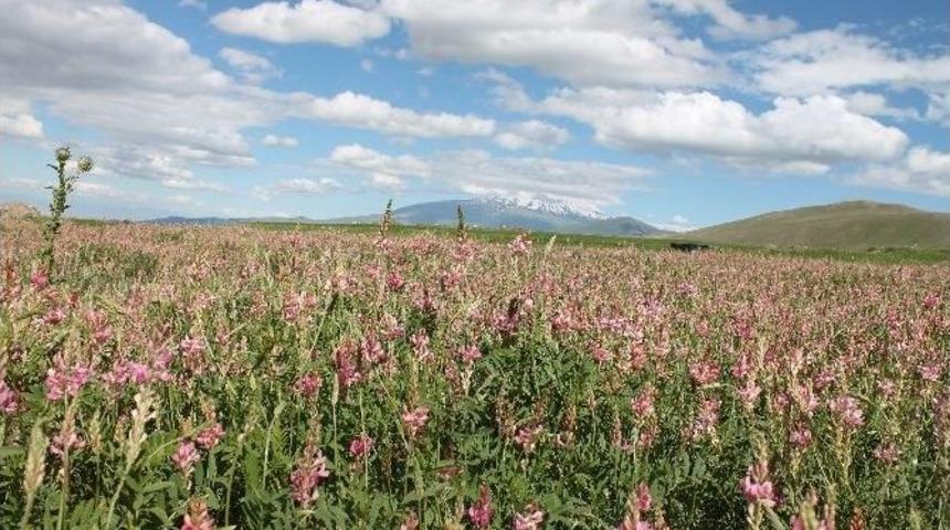 Anadolu &Ccedil;ocukları Expo 2016 İ&ccedil;in Doğayı Fotoğrafladı
