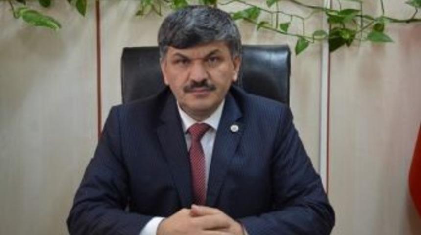 Başıboş Atlara &Ccedil;ip &Ouml;nerisi