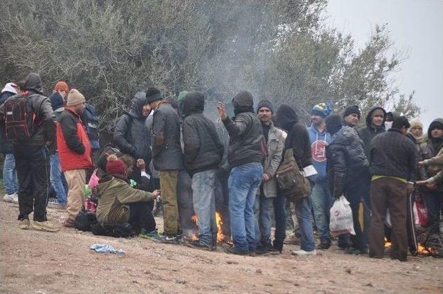 Çanakkale’de Bir Günde Bin 317 Kaçak Yakalandı