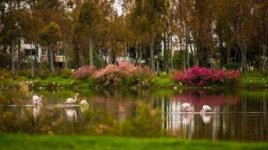 &rsquo;4 Mevsim Aliağa&rsquo; İ&ccedil;in Başvurular Devam Ediyor