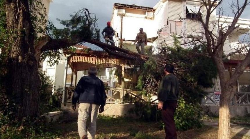 Lodos Didim&rsquo;i Yıktı Ge&ccedil;ti