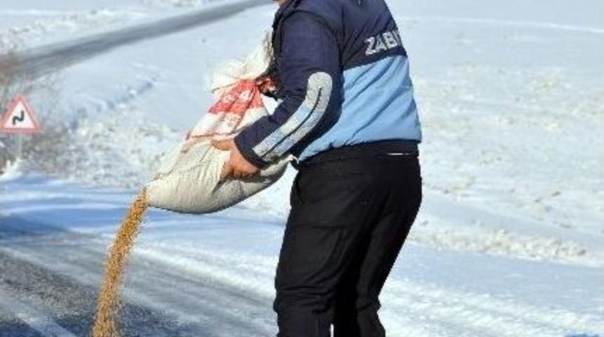 Sorgun&rsquo;da Kar Yağışının Ardından Doğaya Yem Bırakıldı