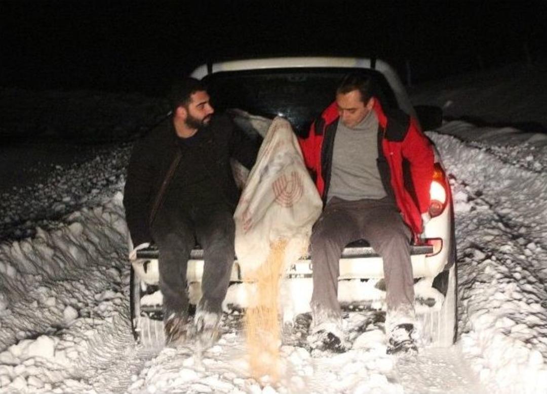 Vahşi Doğaya Yem Bıraktılar