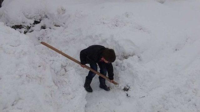 Bitlis’te 103 Köy Yolu Ulaşıma Kapalı