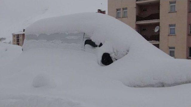 Bitlis’te 103 Köy Yolu Ulaşıma Kapalı