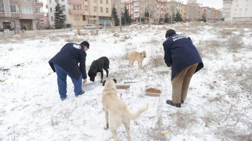 Altındağ Belediyesi&rsquo;nden &Ouml;rnek Davranış