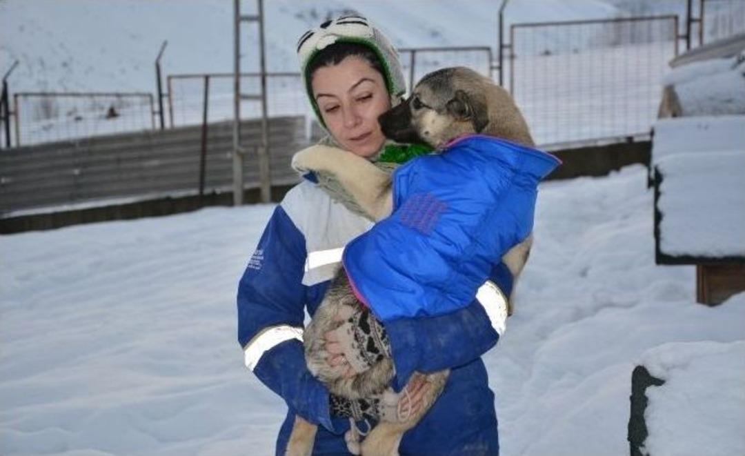 K&ouml;pekler &Uuml;ş&uuml;mesin Diye Elbise Giydiriyorlar