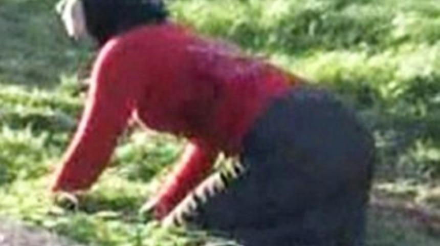 İşte Suriye sınırındaki gerçek