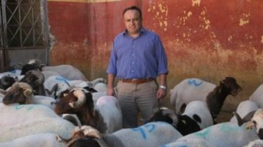 Et Fiyatlarında Y&uuml;kselişi S&uuml;r&uuml;yor