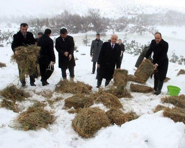 Spil’e Yaban Hayvanları İçin Yem Bırakıldı