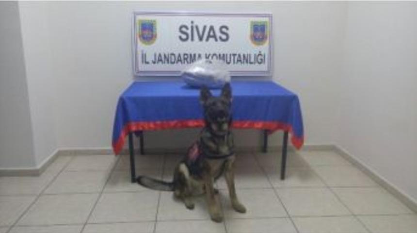 Sivas&rsquo;ta Yolcu Otob&uuml;s&uuml;nde Esrar Ele Ge&ccedil;irildi