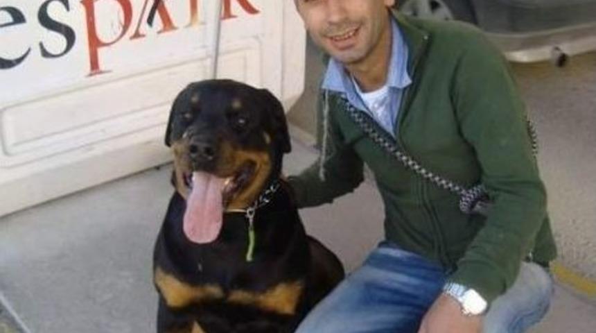 Her Yerde Kaybolan K&ouml;peğini Arıyor