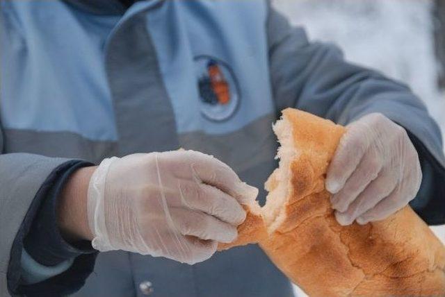 Çorum’da Yaban Hayvanları İçin Doğaya Yem Bırakılıyor