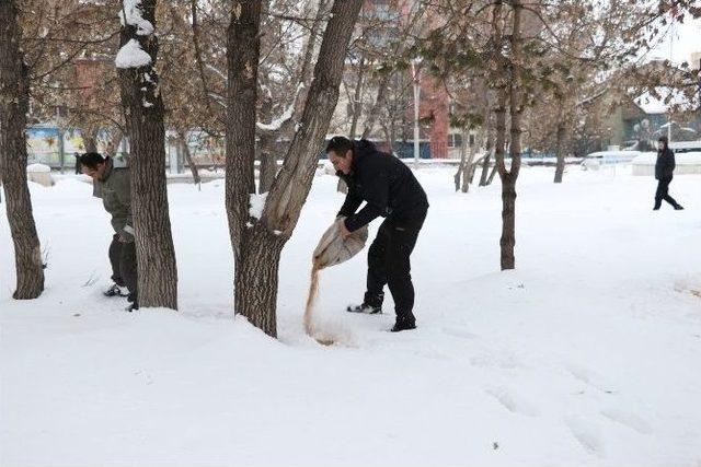 Ağrıda Sokak Hayvanları Ve Kuşlar İçin Yiyecek Bırakıldı