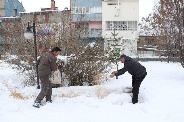 Ağrıda Sokak Hayvanları Ve Kuşlar İçin Yiyecek Bırakıldı