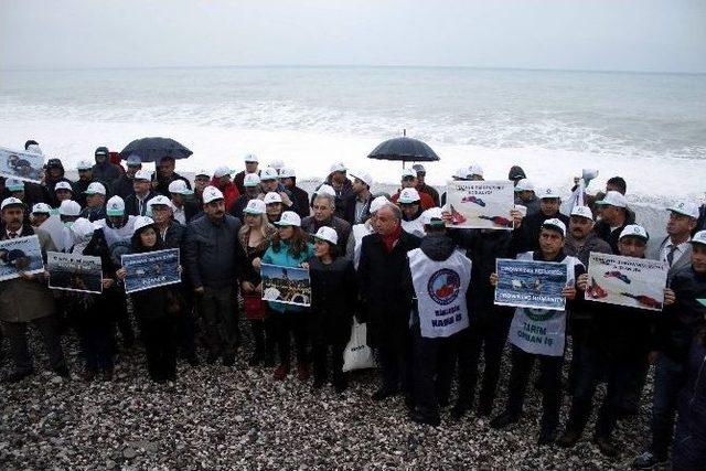 Antalya Konyaaltı Sahili’nde ’aylan’lar Ölmesin’ Eylemi