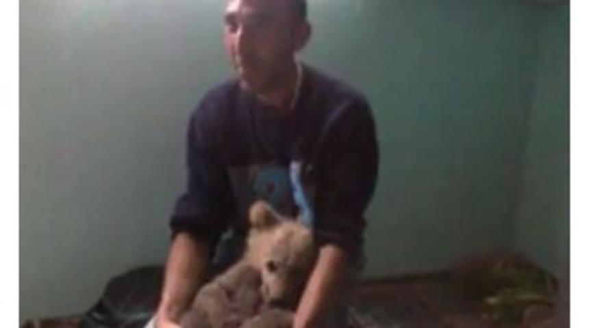 Dağda Bulduğu Yavru Ayıyı Evinde Besledi